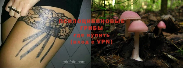 гидра Кинешма