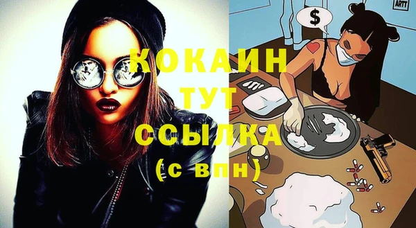 гидра Кинешма