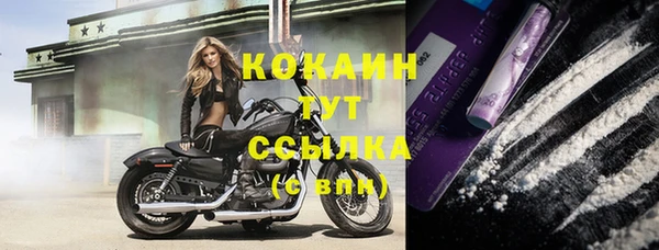 гидра Кинешма