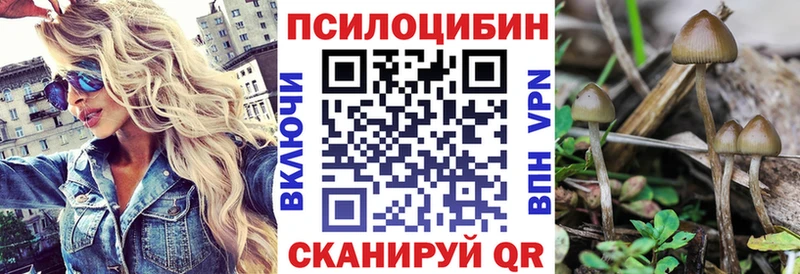 Купить закладки  Чита  Псилоцибиновые грибы прущие грибы 